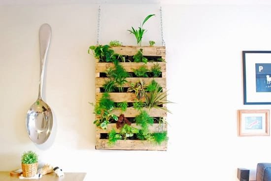 DIY indoor Pallet Living Wall