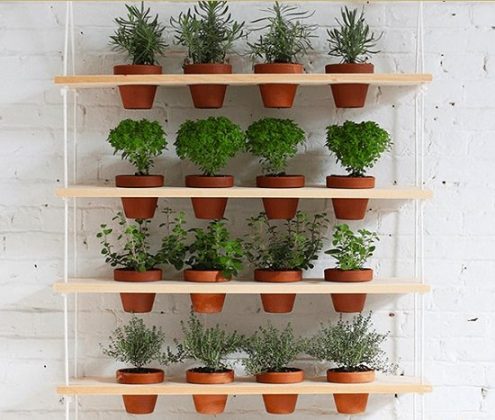 23 DIY Indoor Plant Wall Projects Anyone Can Do | Living Wall Ideas For ...