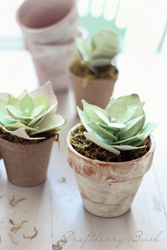 Paper Succulents in Aged Pots