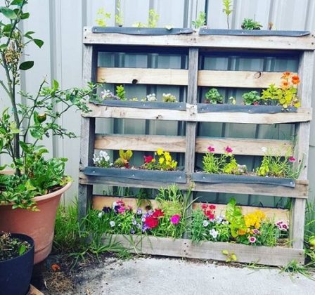 40+ Funky DIY Garden Ideas To Steal From Instagram | Balcony Garden Web