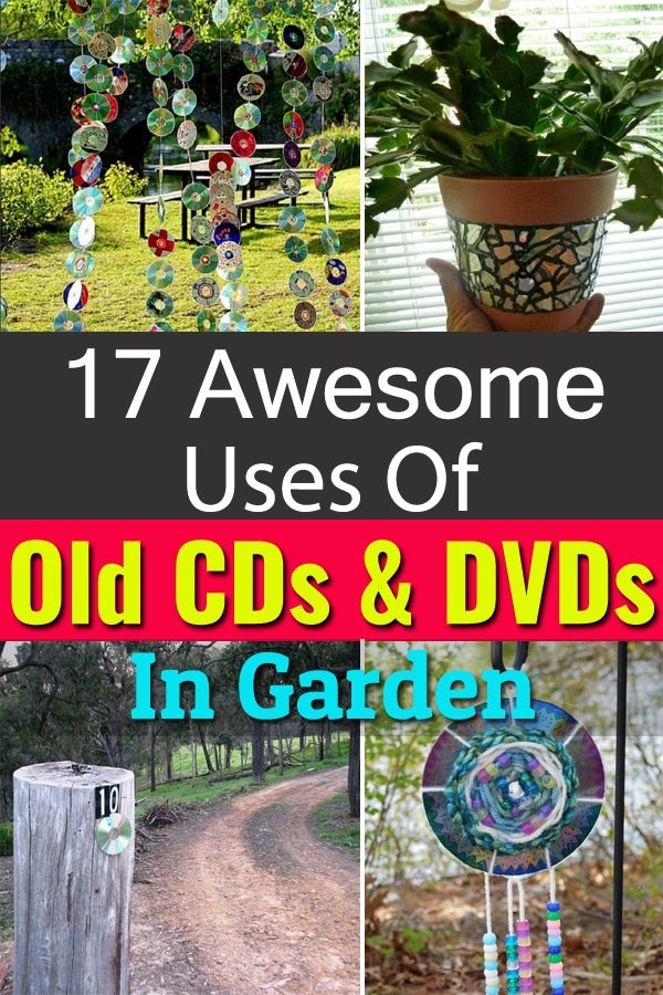 Old and scratched CDs and DVDs are easy to find, you can make them useful again in your garden with these 17 DIY projects.