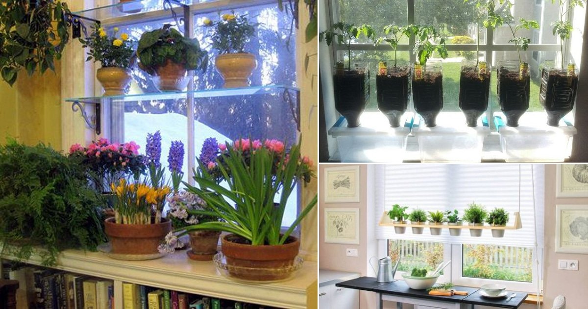 18 Indoor Window Garden Ideas With Tutorials2 