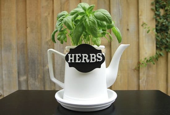 Teapot Herb Planter