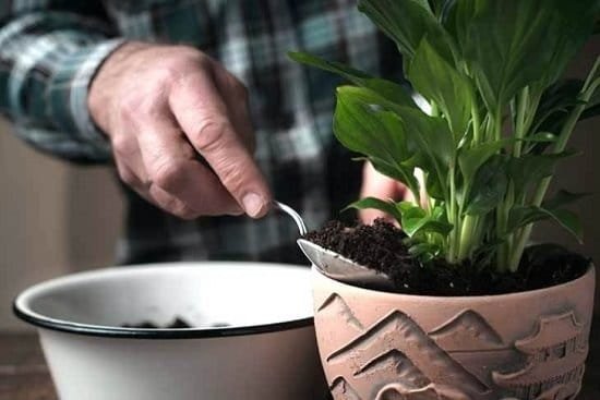 DIY potting soil recipes