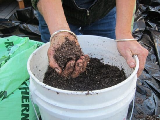 how to make your own potting soil