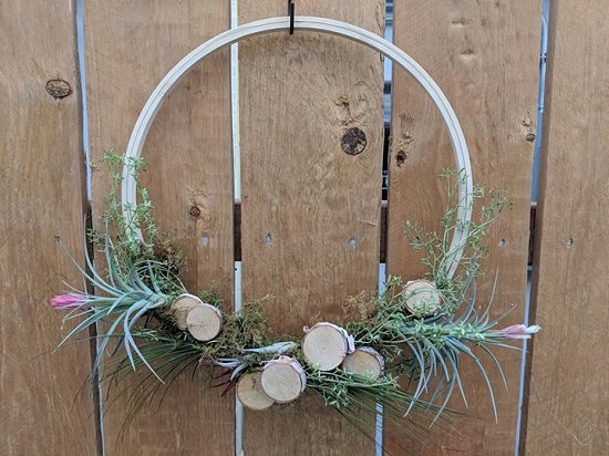These DIY Air Plant Wreath Ideas are super easy to complete and extremely low maintenance!