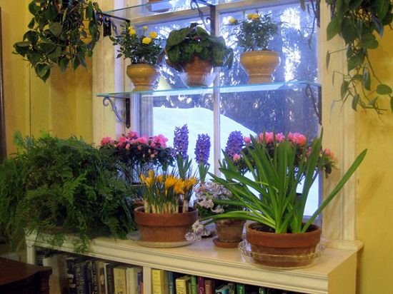 If you have got a limited outdoor space, it's important to utilize every bit of it. Don't miss windows either! Check out 16 DIY Indoor Window Garden Ideas for inspiration.