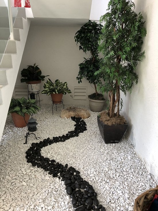 Top Indoor Rock Garden Ideas