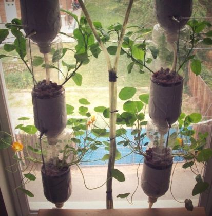 16 DIY Indoor Window Garden Ideas For Urban Gardeners | Balcony Garden Web