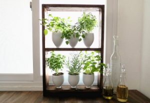 16 Diy Indoor Window Garden Ideas For Urban Gardeners 