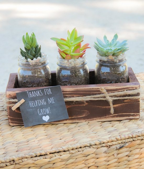 Gift Ideas for Succulent Lovers 8