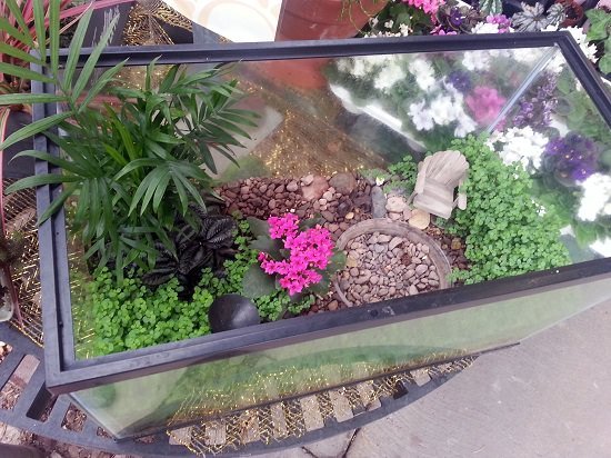 These 5 DIY Old Fish Tank Uses will compel you to get an empty fish tank old or a new one to complete these interesting projects.