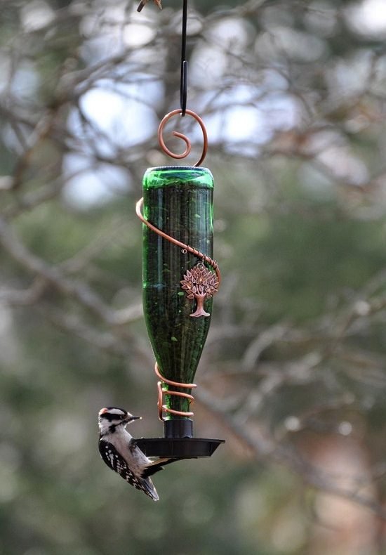 DIY Wine Bottle Bird Feeder 3