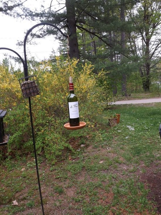 DIY Wine Bottle Bird Feeder 9