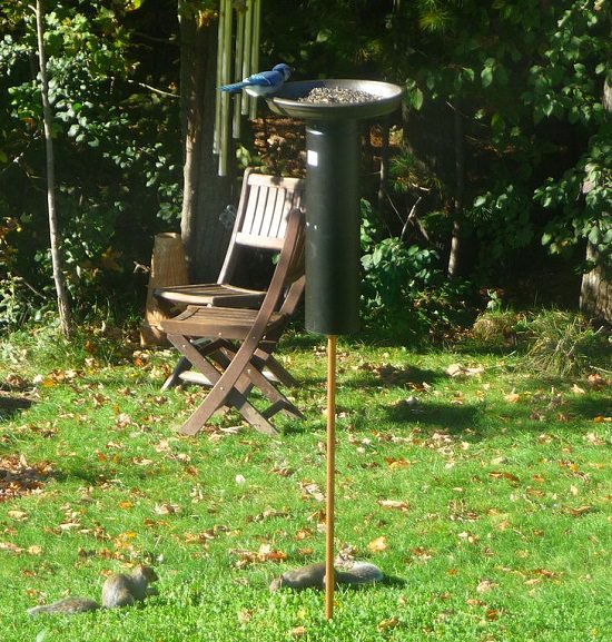 diy squirrel proof bird feeder ideas