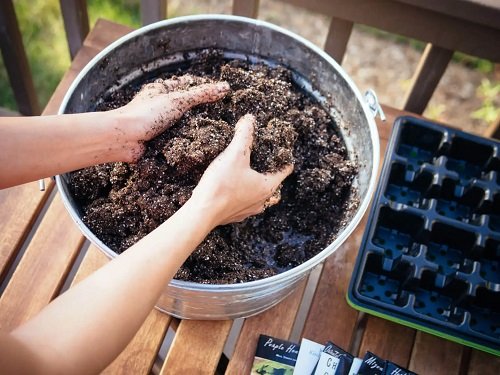 8 Simple Seed Germination Tips To Grow Every Seed 4