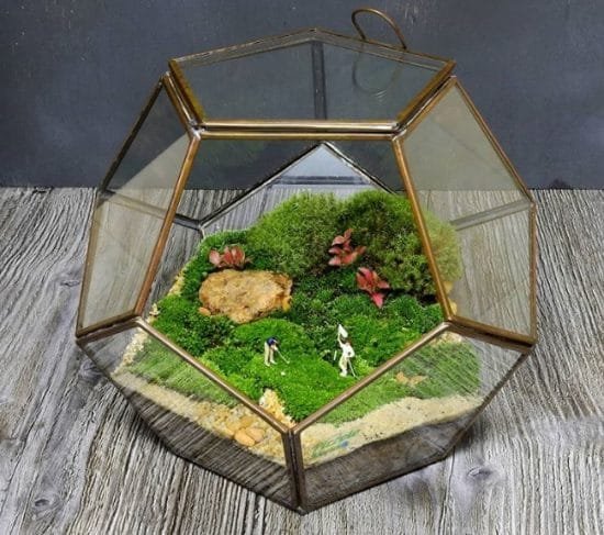 Indoor Moss Garden Ideas 5