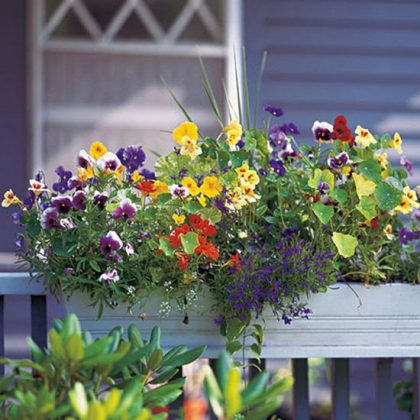 26 DIY Railing Planter Ideas For Balcony Gardeners