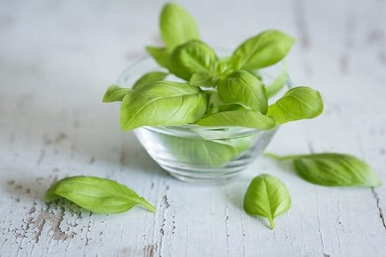 List of Cooking Herbs you can use in kitchen 