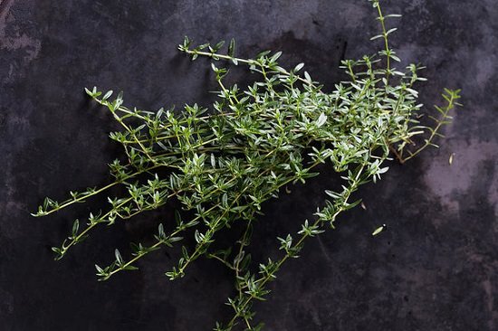 List of Cooking Herbs for a tasty meal