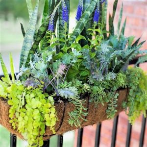 26 DIY Railing Planter Ideas For Balcony Gardeners