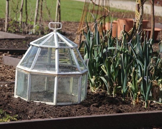 DIY Garden Cloche Ideas 8