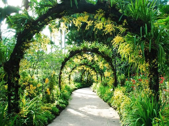 If you're a plant aficionado, add these Best Botanical Gardens in the world in your travel list, many of them are World Heritage Sites and you'll not be disappointed.