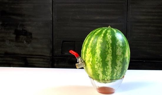 DIY Watermelon Juice Dispenser