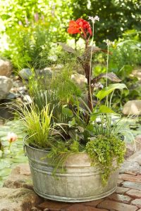 24 DIY Container Water Garden Ideas For Container Gardeners