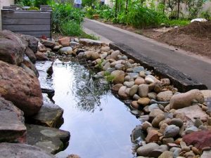 11 Aquaponics Fish Tank DIY Ideas | Balcony Garden Web