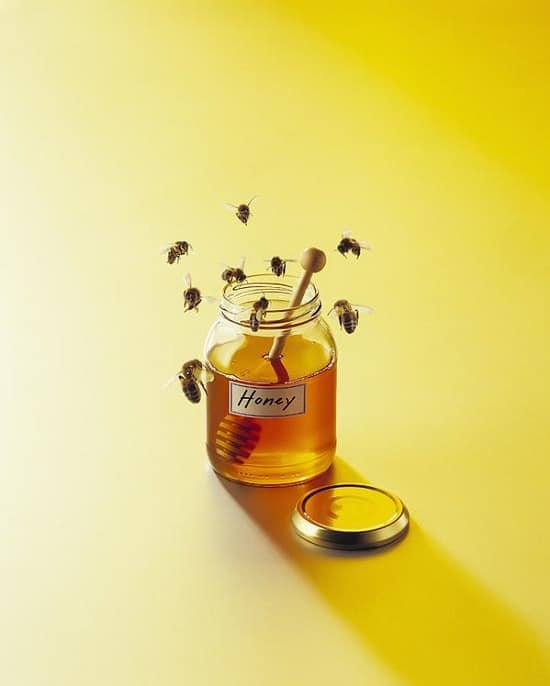 6 Unbelievable "Uses of Honey in Garden"