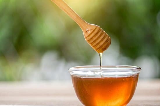 There must be a jar of honey in your home? Why don't you use it in your garden? How? Well, here's a list of 6 Uses of Honey in the Garden!