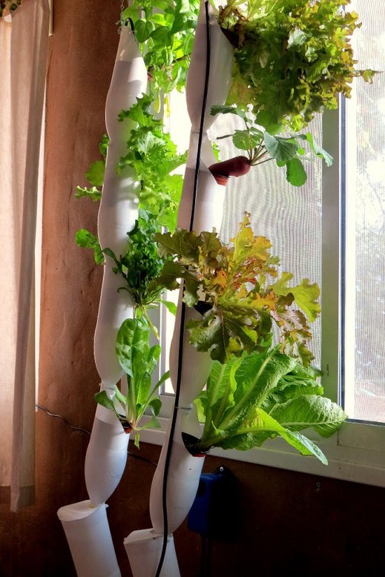 DIY Hydroponic Vertical Garden Ideas