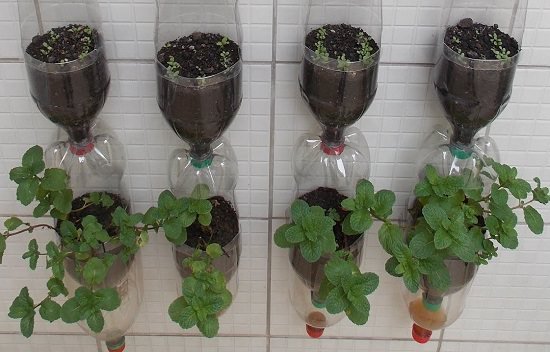 Indoor Vegetable Garden Ideas 4
