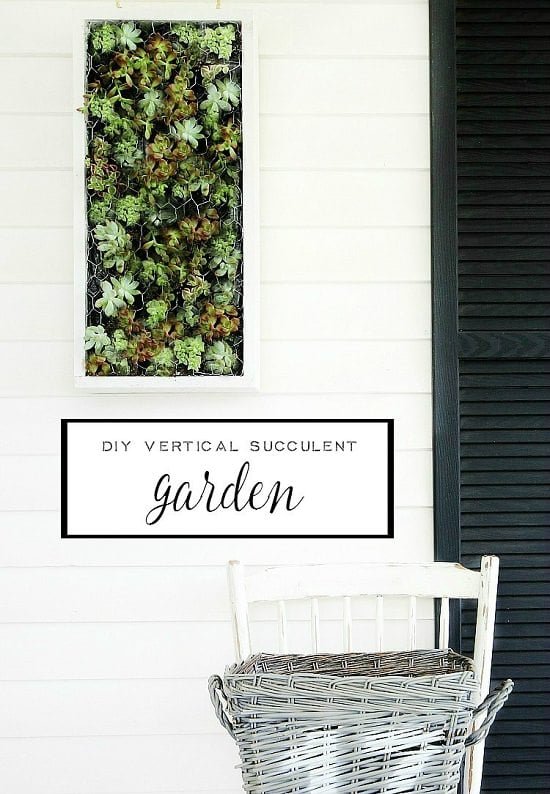 DIY Vertical Succulent Garden Ideas 18