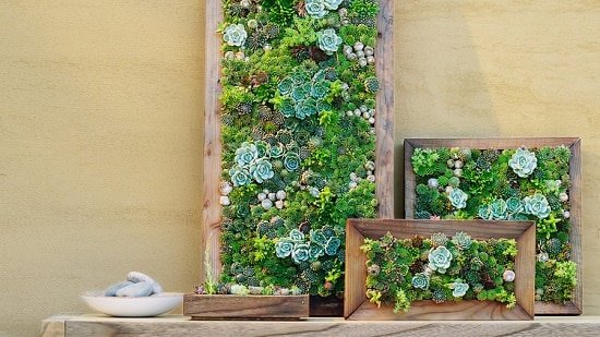 DIY Vertical Succulent Garden Ideas 21