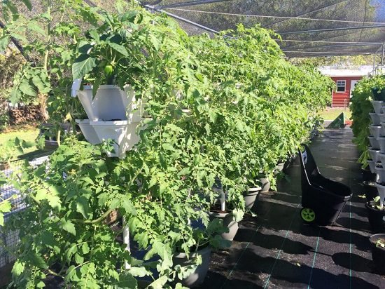 DIY Vertical Vegetable Garden Ideas