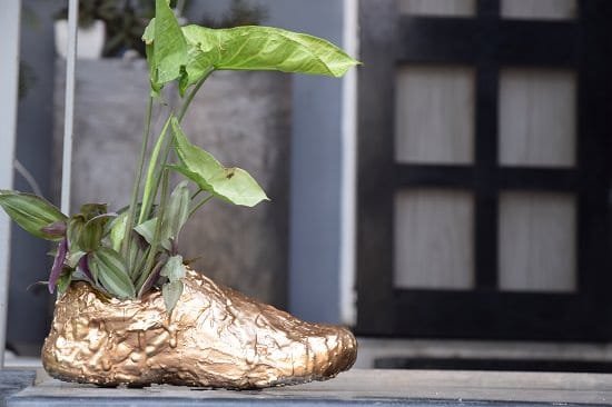 You won't believe your old pair of shoes could be that useful in the garden unless you see these DIY Shoe Hacks we've here!