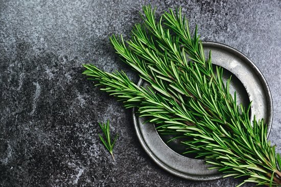 Rosemary Benefits backed by medical science