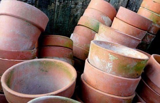 Clay Pots Are Attractive