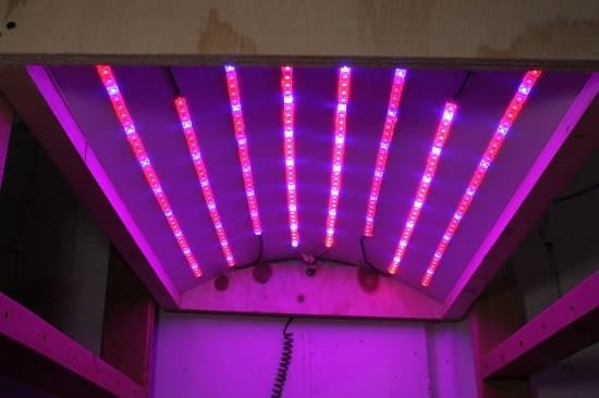 Homemade LED Grow Light for Indoor Plants