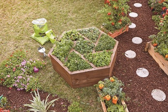 DIY Hexagon Garden Box