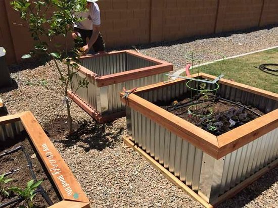 DIY Raised Garden Beds with Corrugated Metal