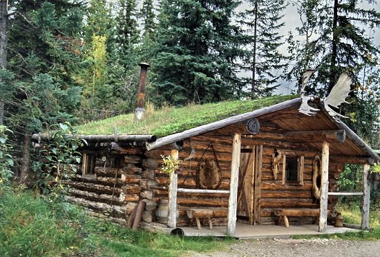 DIY Hunting Log Cabin