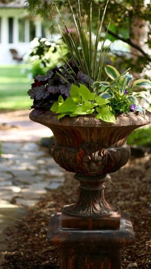 48 Plant Combination Ideas for Container Gardens | Potted Plant ...