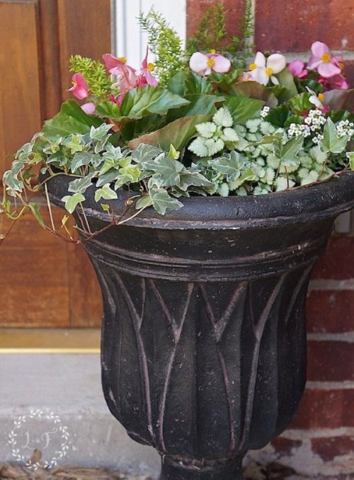 Plant Combination Ideas for Container Gardens 25
