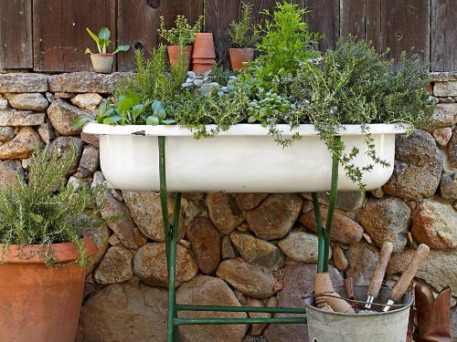 Plant Combination Ideas for Container Gardens 29