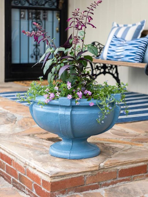 Plant Combination Ideas for Container Gardens 33
