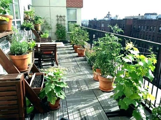 Apartment herb garden ideas