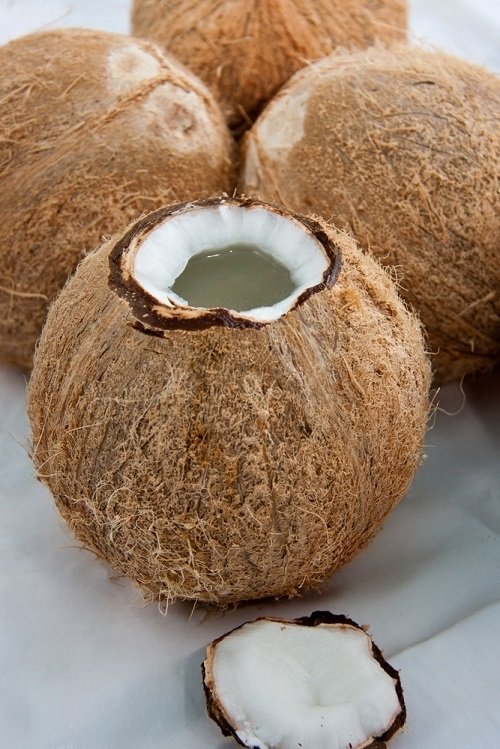 Is Coconut a Fruit 2